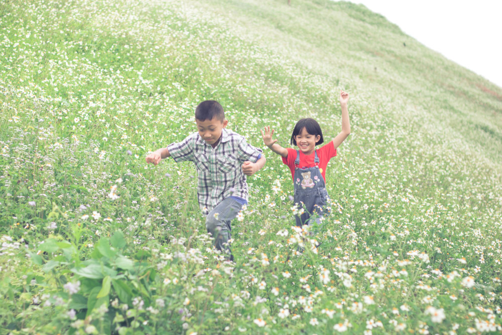 A young boy and a young girl having fun running in a field of tall grass on a bright day
